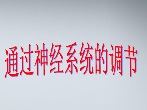 兴奋在神经纤维上传导