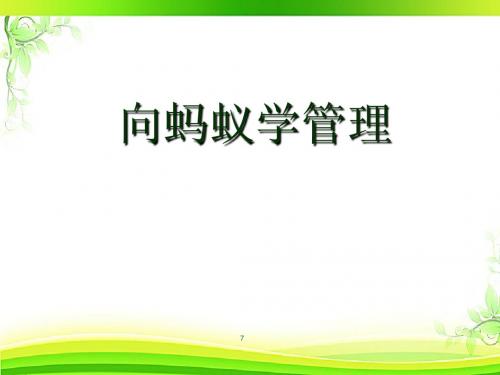 现代企业管理案例分析  ppt课件