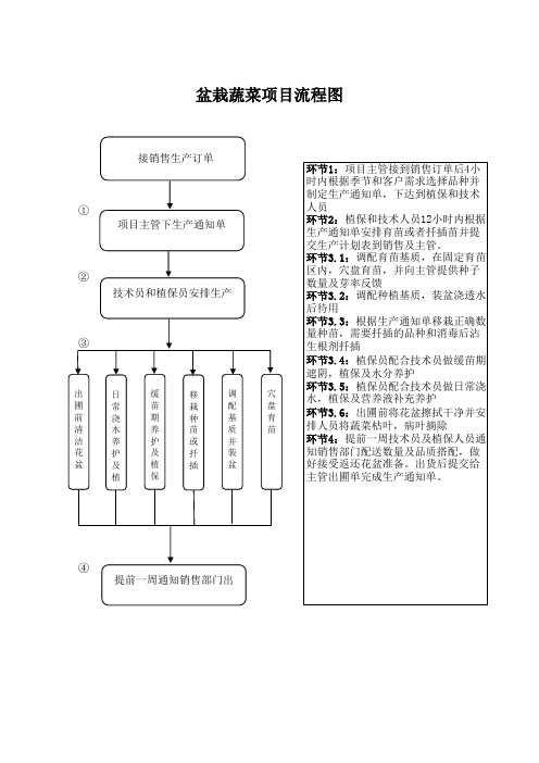 盆栽蔬菜项目流程图