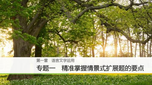 2018版高考语文二轮专题复习与增分策略：语言文字运用(浙江专用)优秀PPT课件