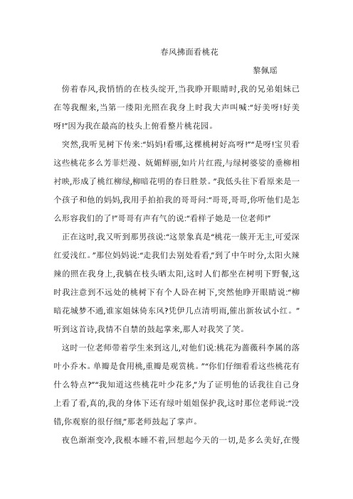 春风拂面看桃花