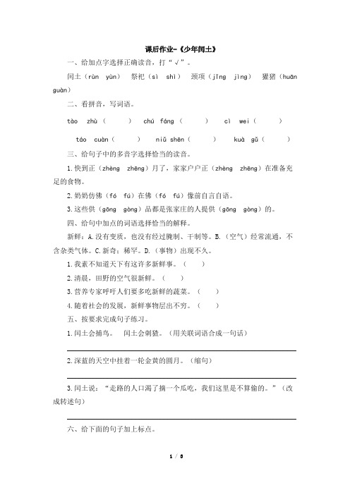 六年级上册语文试题-17《少年闰土》课后作业(有答案) 人教新课标