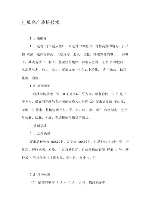 打瓜高产栽培技术