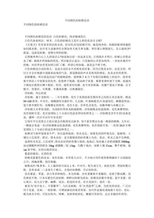 不同颜色的桔梗花语