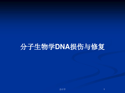 分子生物学DNA损伤与修复PPT教案