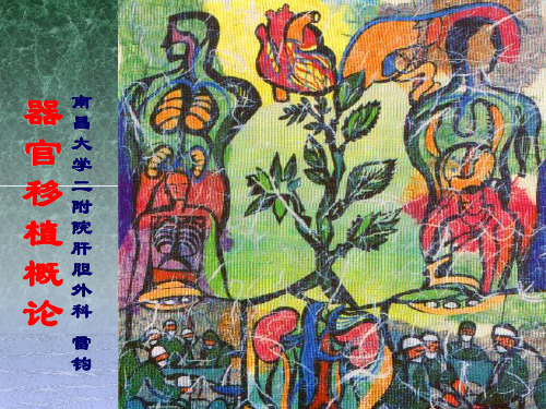 器官移植PPT课件