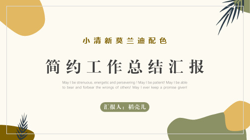 新版小清新莫兰迪配色工作总结汇报PPT