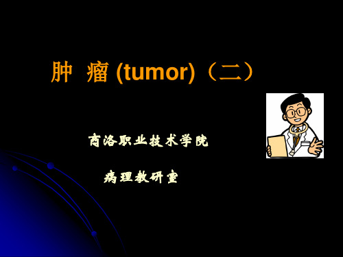 第五章肿瘤二PPT课件