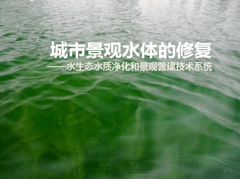 水生态修复系统介绍PPT课件.ppt