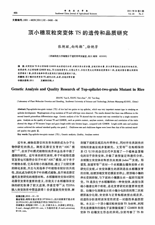 顶小穗双粒突变体TS的遗传和品质研究