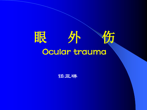 眼外伤1