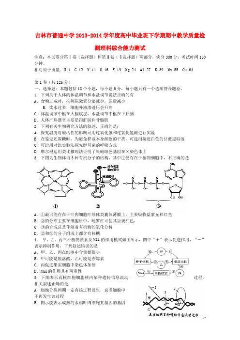 吉林省吉林市届高三理综下学期第二次模拟考试
