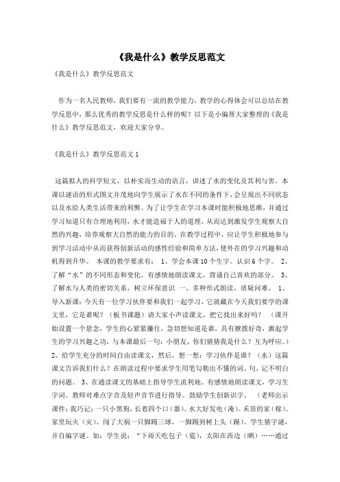 《我是什么》教学反思范文