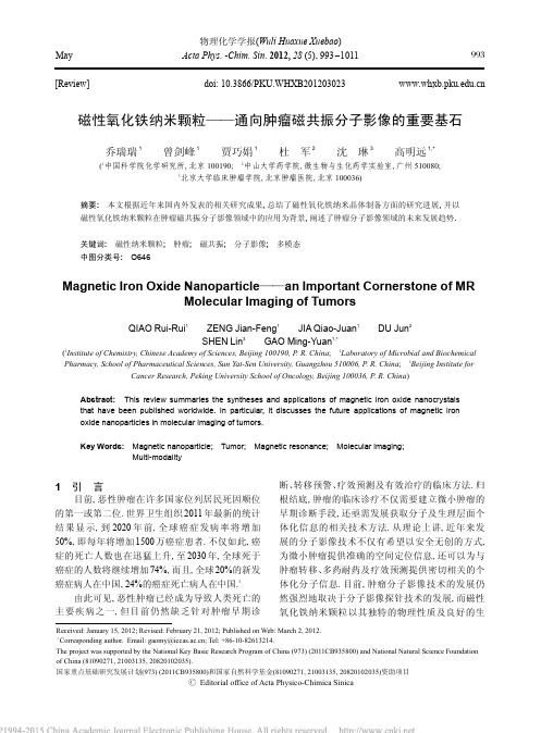 磁性氧化铁纳米颗粒_通向肿瘤磁共振分子影像的重要基石_乔瑞瑞