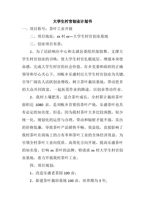 大学生村官创业计划书