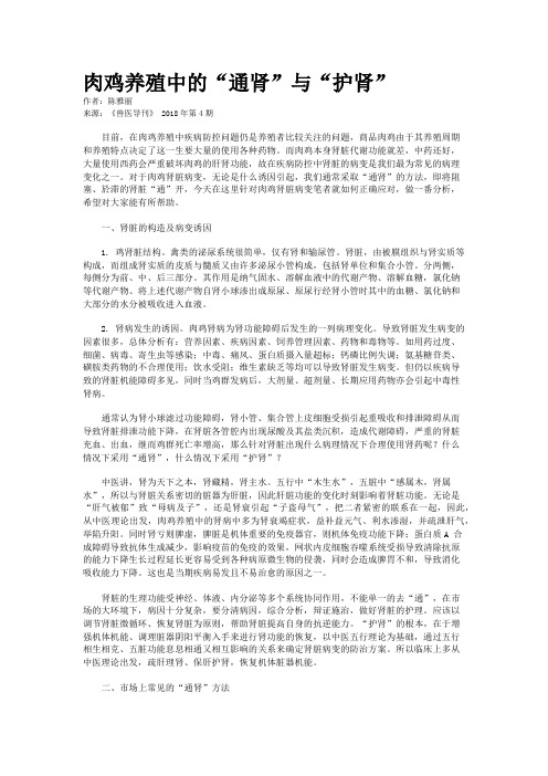 肉鸡养殖中的“通肾”与“护肾”