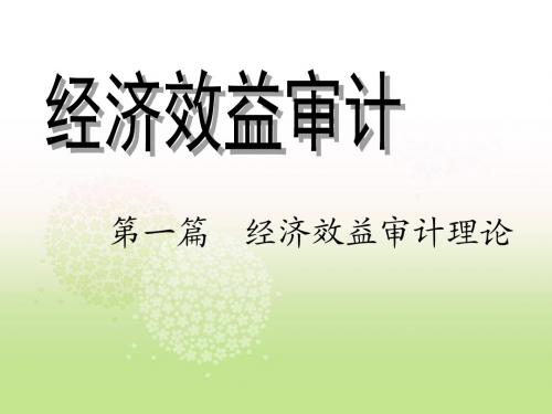 经济效益审计 第一章 绪论
