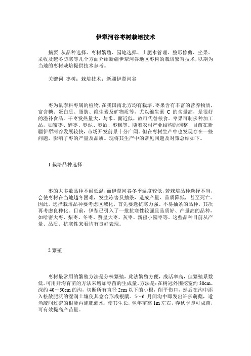 伊犁河谷枣树栽培技术