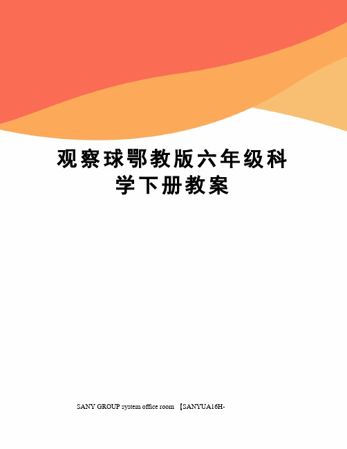 观察球鄂教版六年级科学下册教案