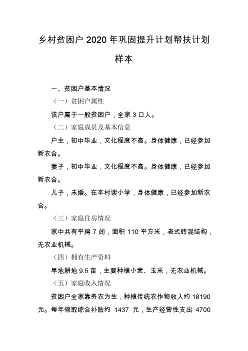 乡村贫困户2020年巩固提升计划帮扶计划样本