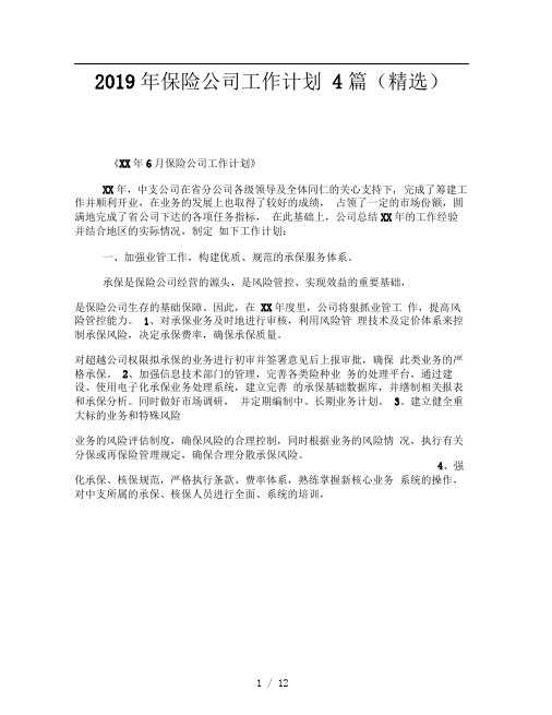 2019年保险公司工作计划4篇精选