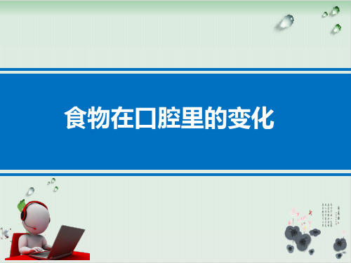 四年级上册科学课件PPT：食物在口腔里的变化-教科版