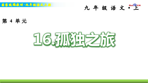 统编版九年级上册语文习题课件-孤独之旅