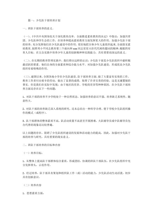 少先队干部培训计划