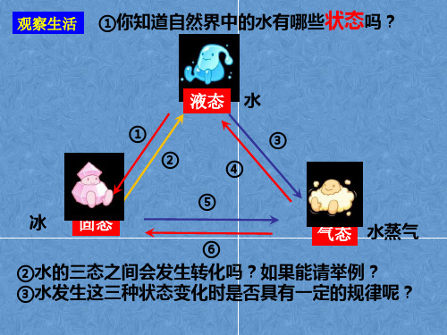 华师大版科学七年级下册1.2水的三态变化(1)熔化、凝固、晶体、非晶体 课件