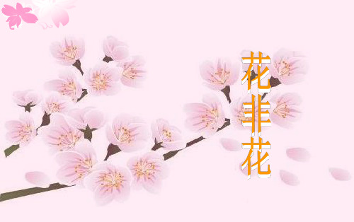 最新人音版六年级下册音乐《花非花》课件(新教材)