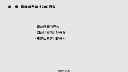 消费者心理与行为2PPT课件