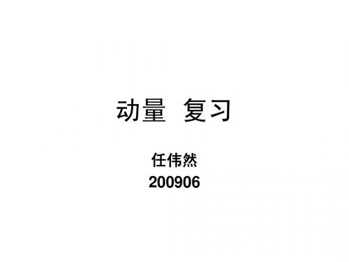 动量复习