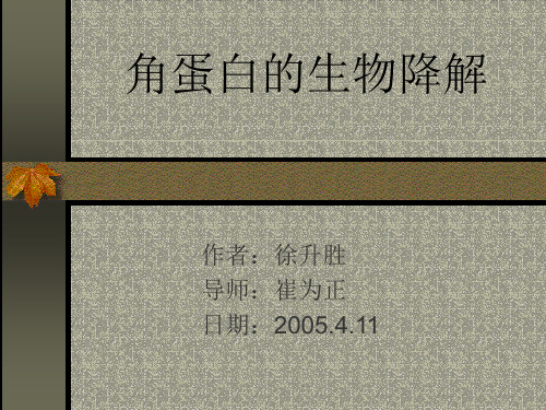 角蛋白的生物降解
