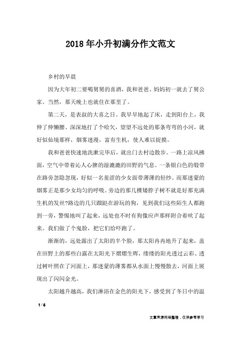 2018年小升初满分作文范文_小学作文