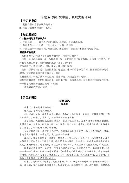 专题五---现代文阅读之赏析有表现力的语句