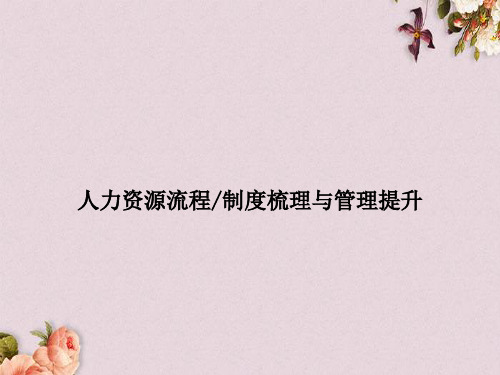 人力资源流程、制度梳理与管理提升(ppt 71页)