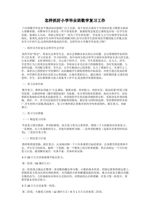 怎样抓好小学毕业班数学复习工作