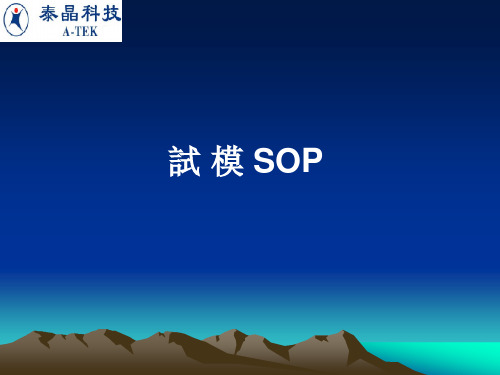 试模SOP
