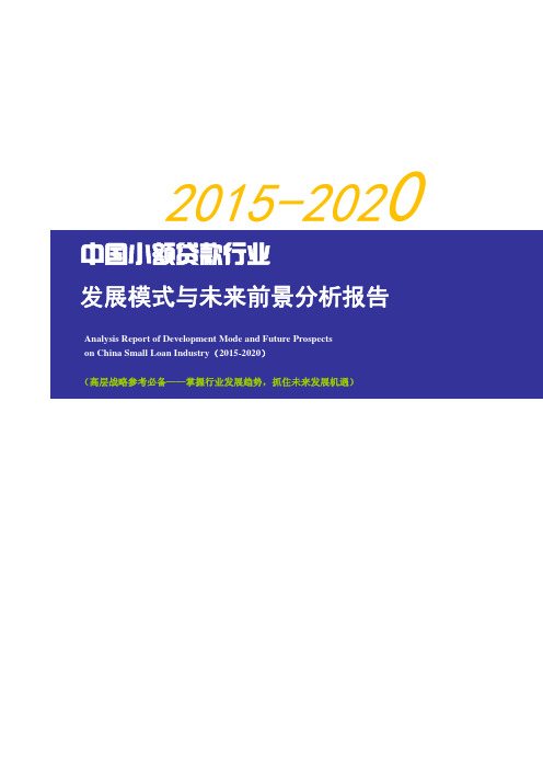 2015-2020年中国小额贷款行业发展模式与未来前景分析报告【中经未来版】