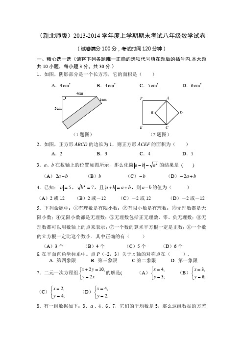 (新北师版)期末考试八年级数学(上)试卷
