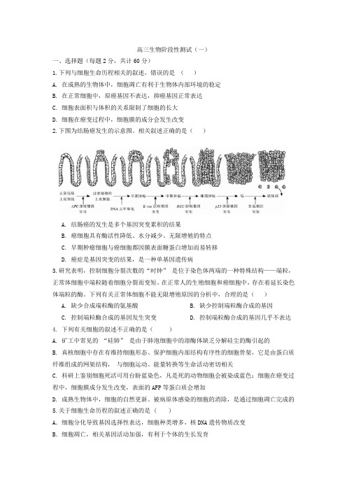 山东省广饶一中2016届高三10月阶段质量检测生物试卷