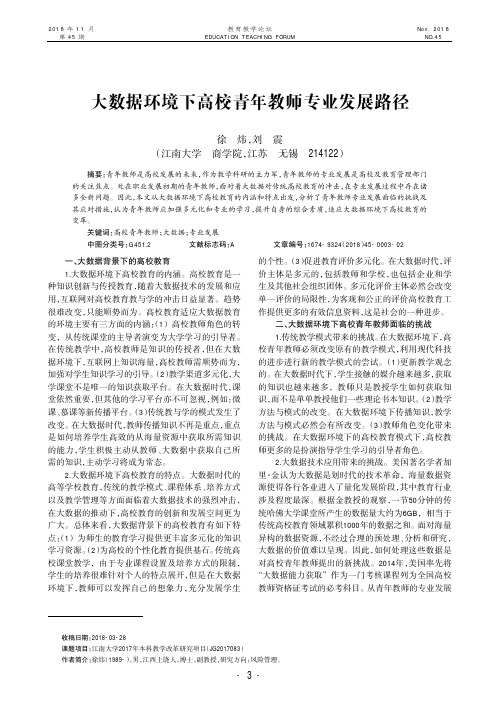 大数据环境下高校青年教师专业发展路径