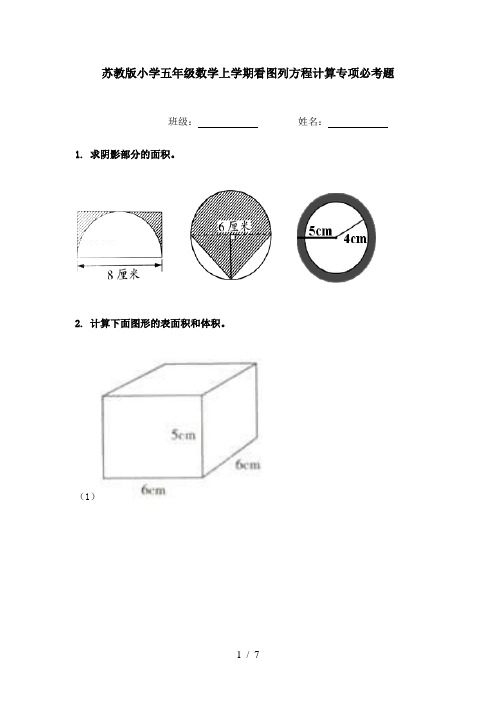 苏教版小学五年级数学上学期看图列方程计算专项必考题