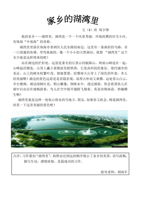 家乡的湖湾里