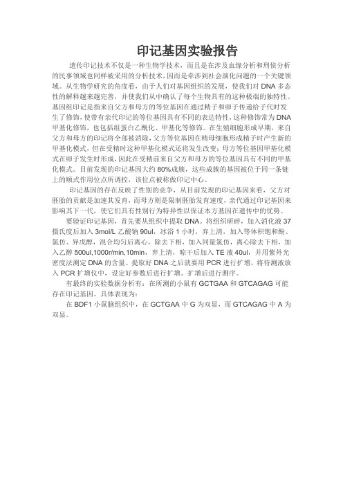 印记基因,.doc