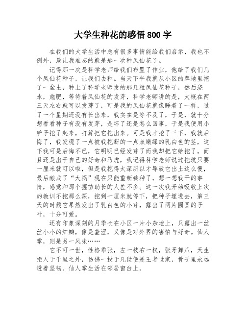 大学生种花的感悟800字