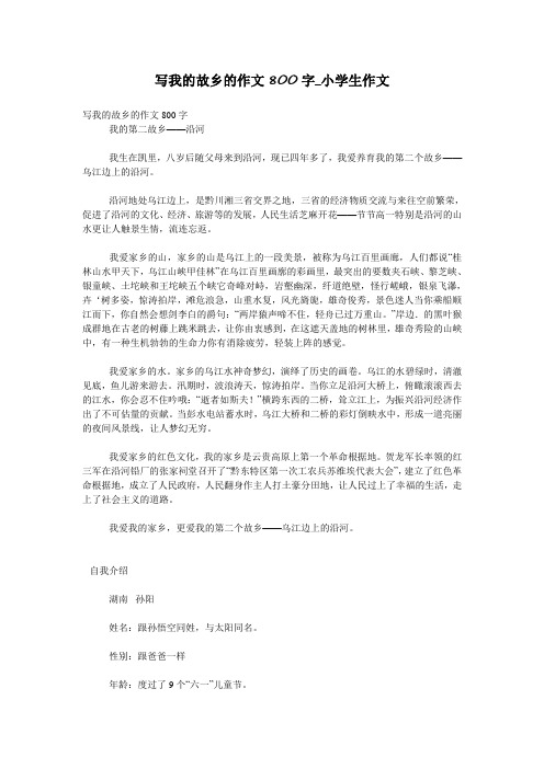 写我的故乡的作文800字_小学生作文