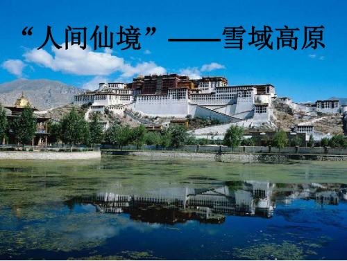 长春小学语文五下《4.2藏羚羊跪拜》PPT课件