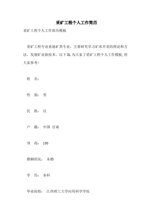 采矿工程个人工作简历