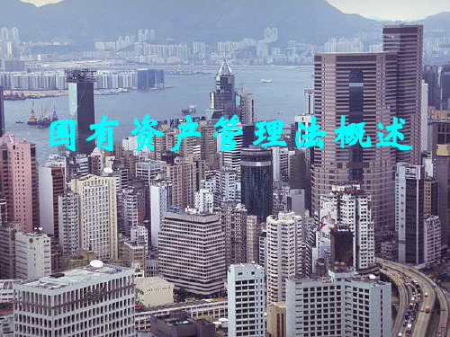 国有资产管理法概述ppt .ppt
